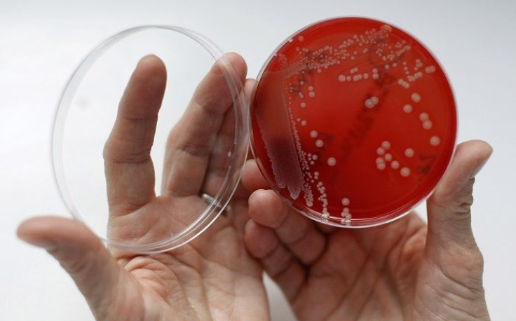 Antibiotic-resistant bacteria