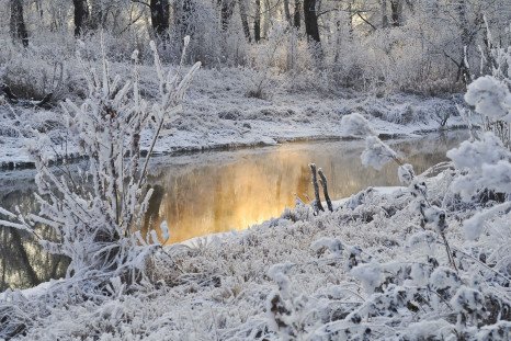 Sub-zero temperatures spell danger for humans, but sometimes they actually work in our favor.