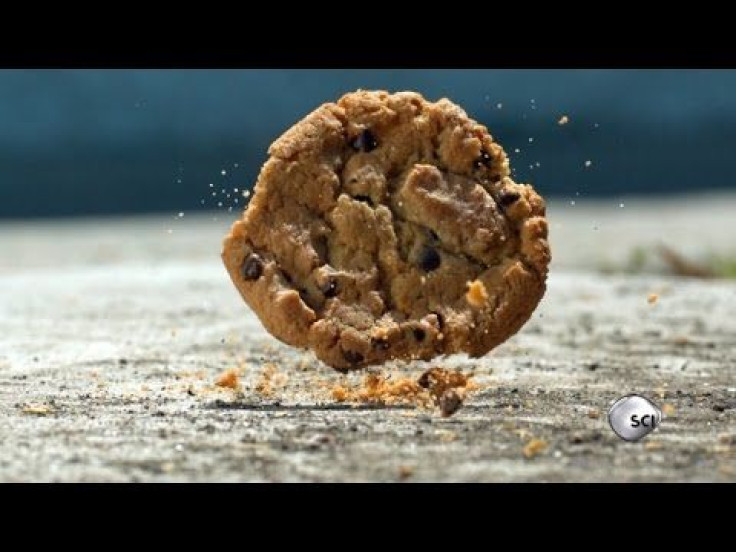 5-Second Rule Is Real: NASA Engineer Proves You Can Eat That Cookie After It Falls On The Ground