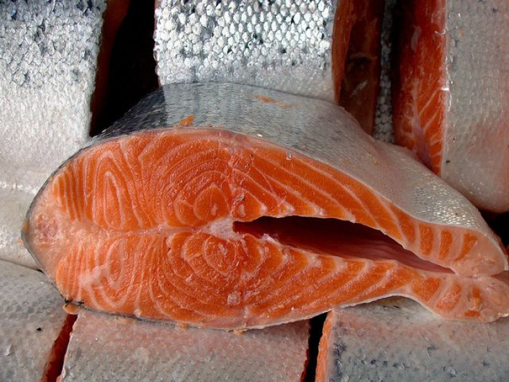 salmon