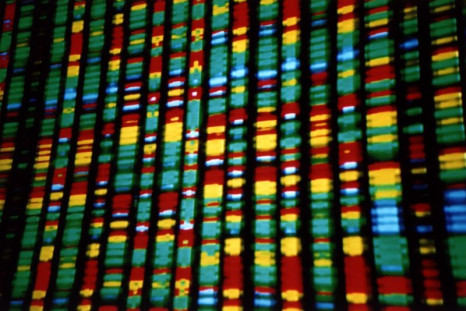 A DNA test can reveal a person's potential for disease...which can lead to genetic discrimination.