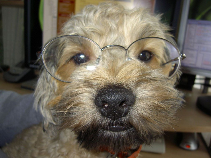 einstein