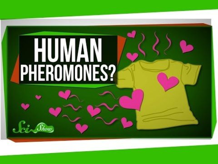 It's Complicated: The Science Behind Human Pheromones And Love Attraction