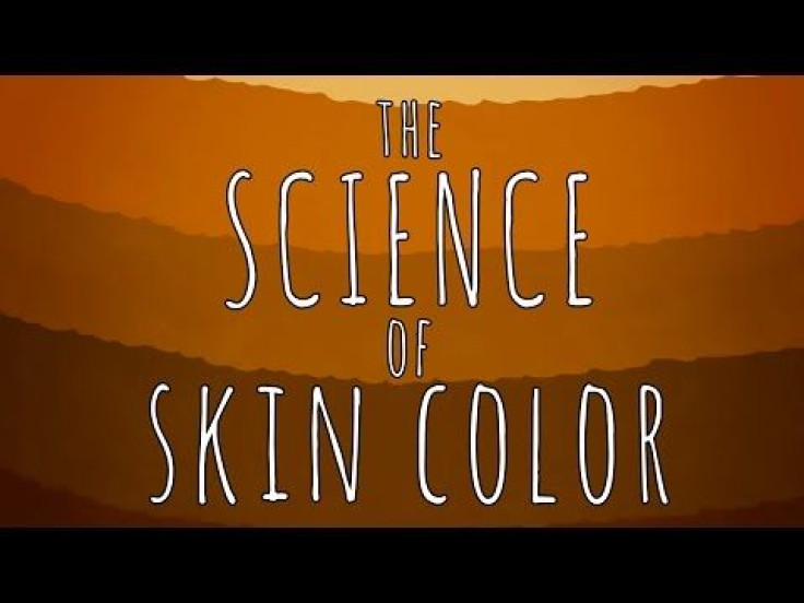 The Science Of Skin Tones: How Human Evolution And Sun Exposure Led To A Variety Of Skin Colors