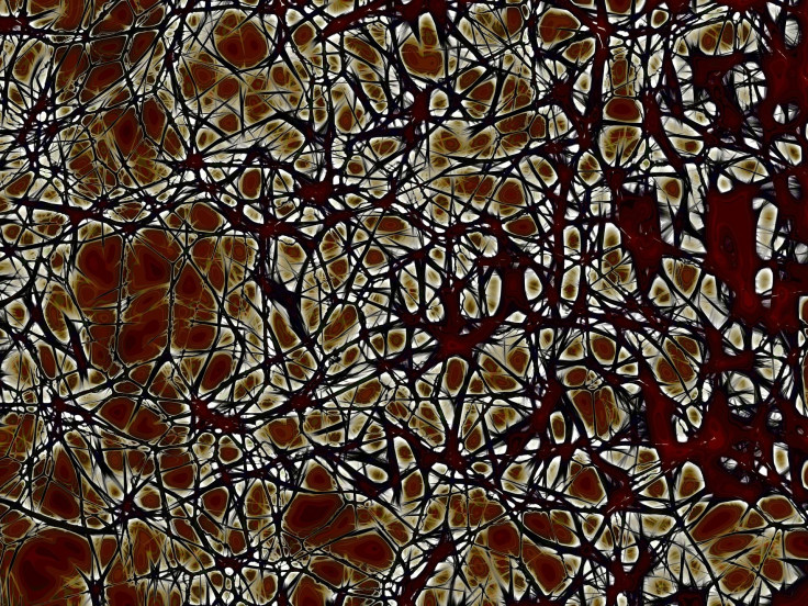 Neurons