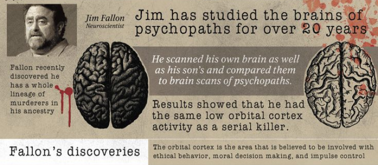 Serial killer brain infographic