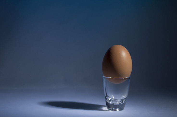 Egg