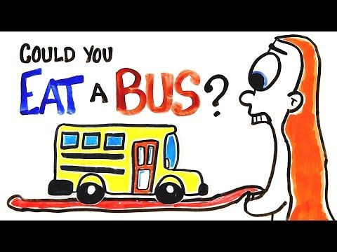 Meals On Wheels, Literally; Can A Person Actually Eat A Bus?