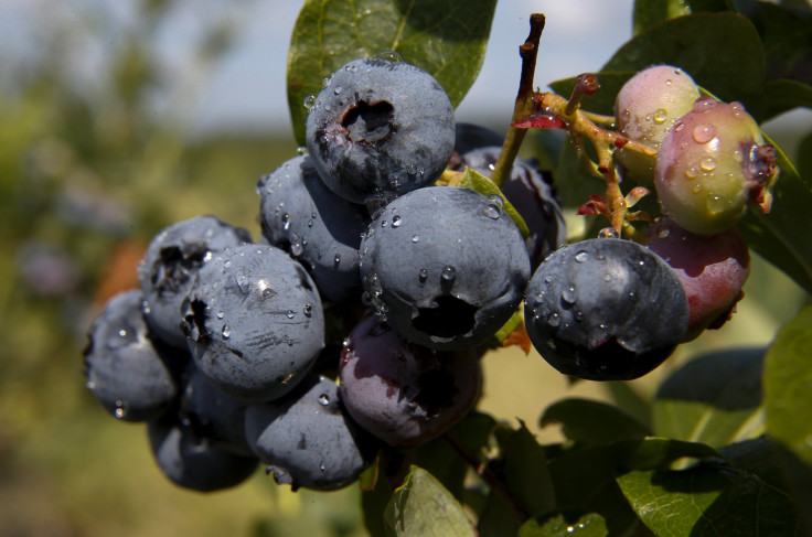 blueberries 