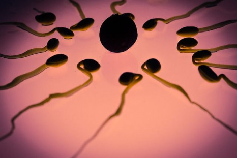 One-third of men with fertility problems have an increased risk of diabetes and osteoporosis, a new study finds.