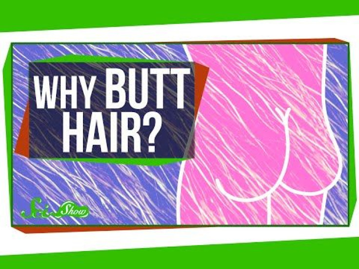 Anatomy And Physiology 101: Science Explains Why Butt Hair Exists On The Human Body