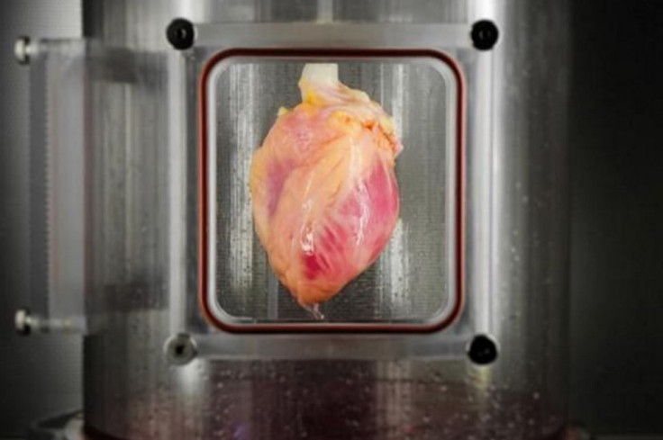 stem cell heart