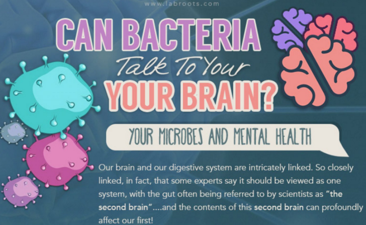Bacteria and the brain