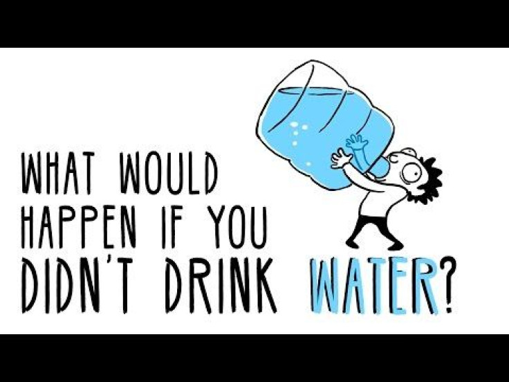 Stay Hydrated: If You Stop Drinking Water, Your Brain Shrinks And Your Risk Of Chronic Diseases Increases
