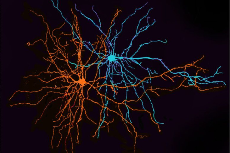 MIT-Emotional-Wiring