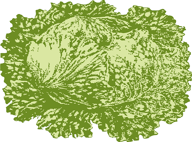 Iceberg lettice