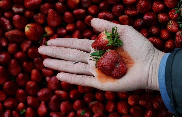 Strawberries Pesticides