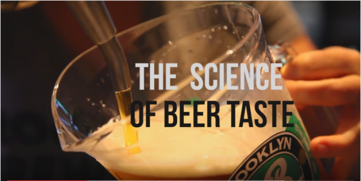 The Science of Beer Taste