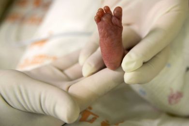 An artificial placenta could save our most vulnerable newborns.