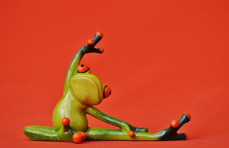 Frog doing yoga