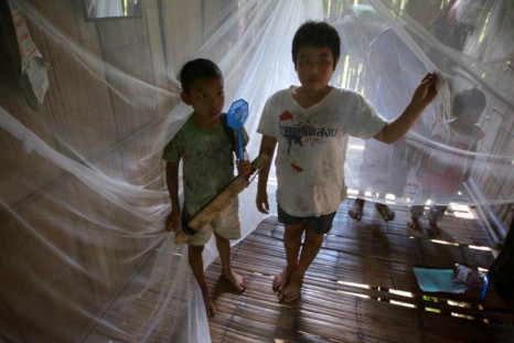 Two boys living in the Thai-Myanmar border stand inside a mosquito net in Sai Yoke district, Kanchanaburi Province October 26,2012.