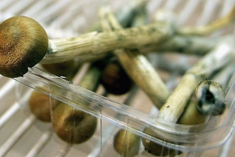 Psychoactive compound, psilocybin, was recently given the Breakthrough Therapy Designation, as nonprofit organization, Usona Institute, begins Phase 2 of clinical trials.