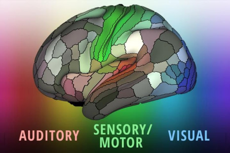 The human brain.