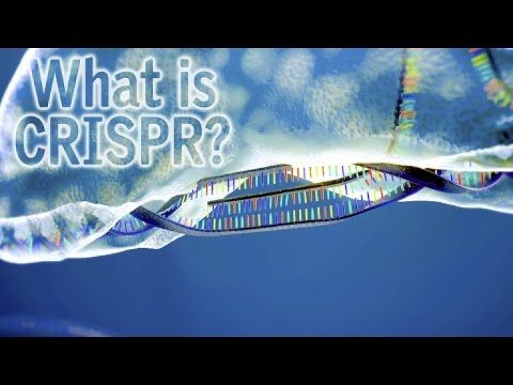 What Is CRISPR? A Simple Explainer On The Revolutionary-Gene Editing Techinique
