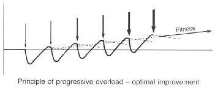 Progressive Overload