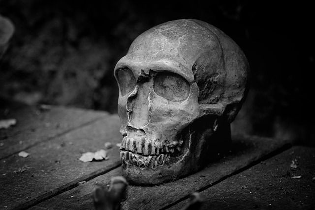 Skull