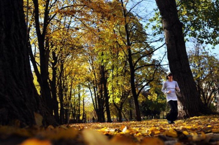 Fall jogging