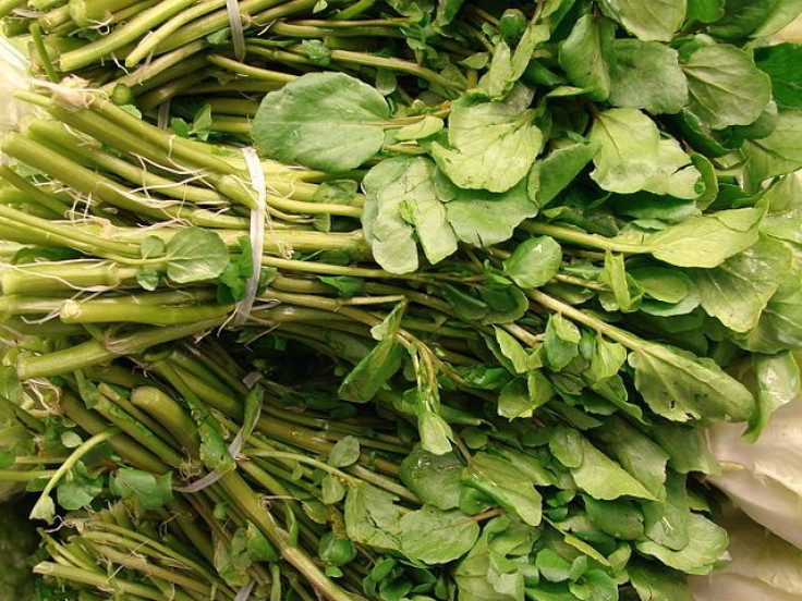 Watercress