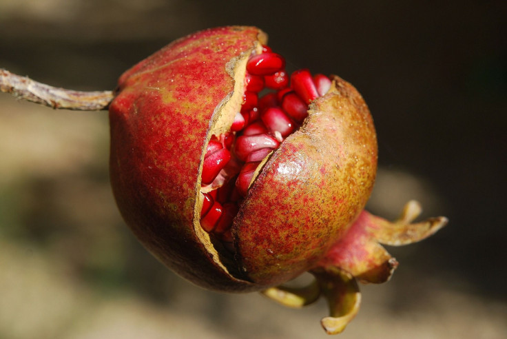 pomegranate-185456_1920