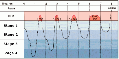 Sleep Cycle