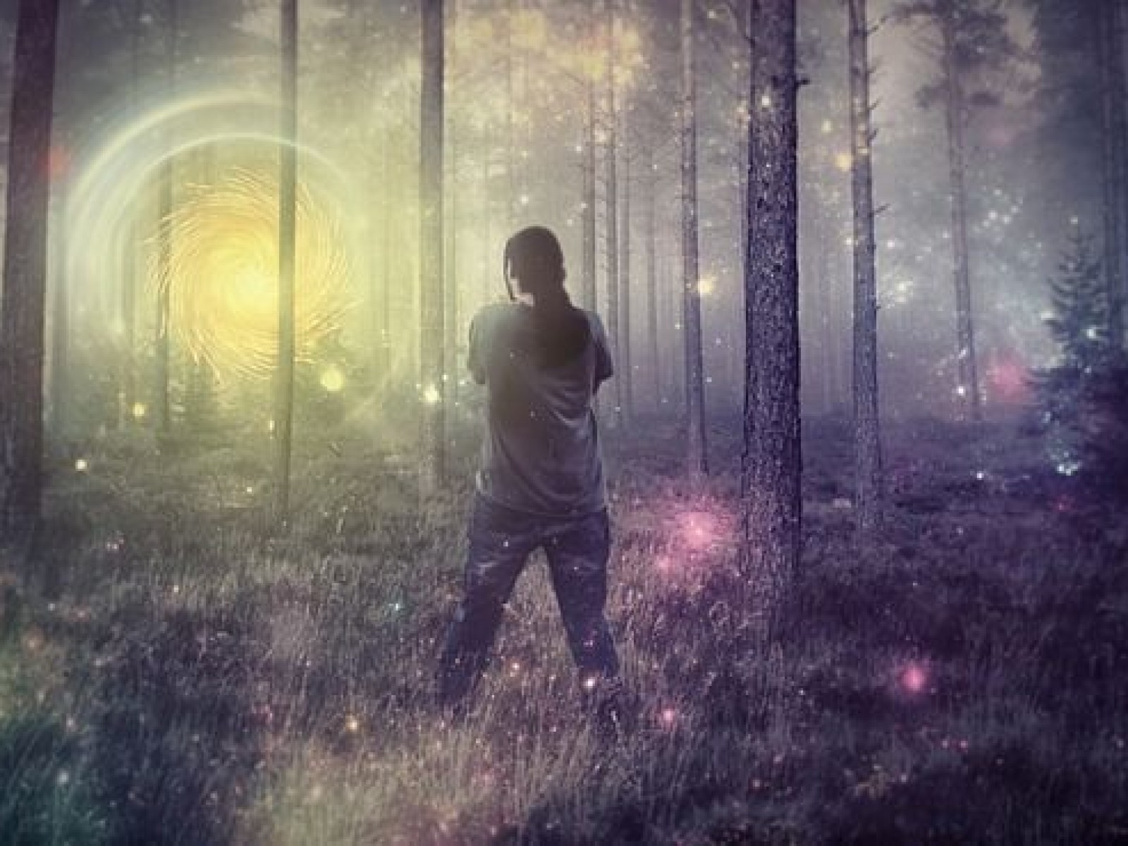 Visual Hallucinations A Closer Look Details From Real