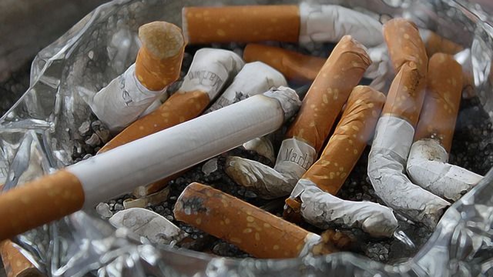 can you catch hiv from sharing a cigarette If you're HIV+ are at risk for lung disease and using vape increase your risk. Find tips on how to take control of your health while living with How do you get HIV?