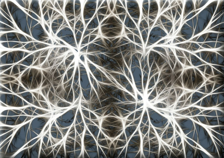 neurons-582054_1280