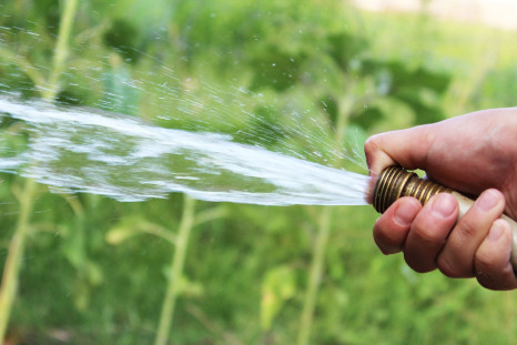 Water hoses are for gardening and putting out fires, not for spraying up your bum.