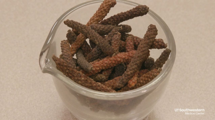 long-pepper