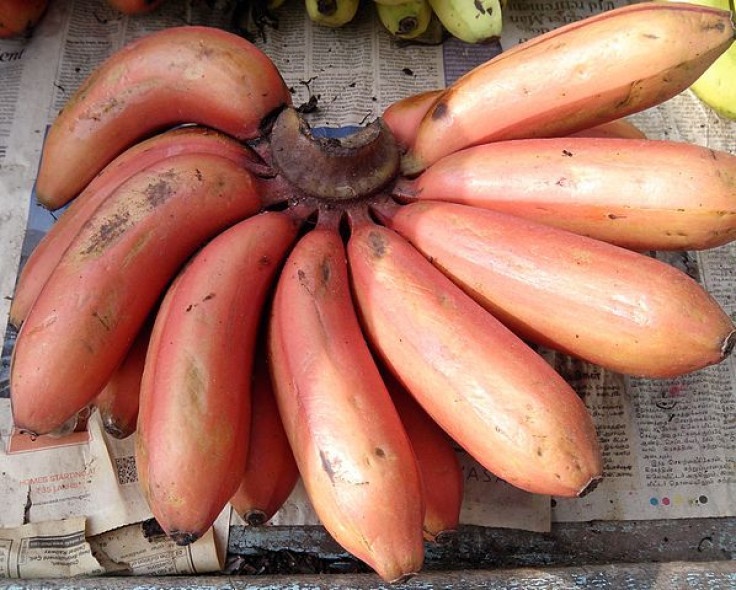 Red bananas