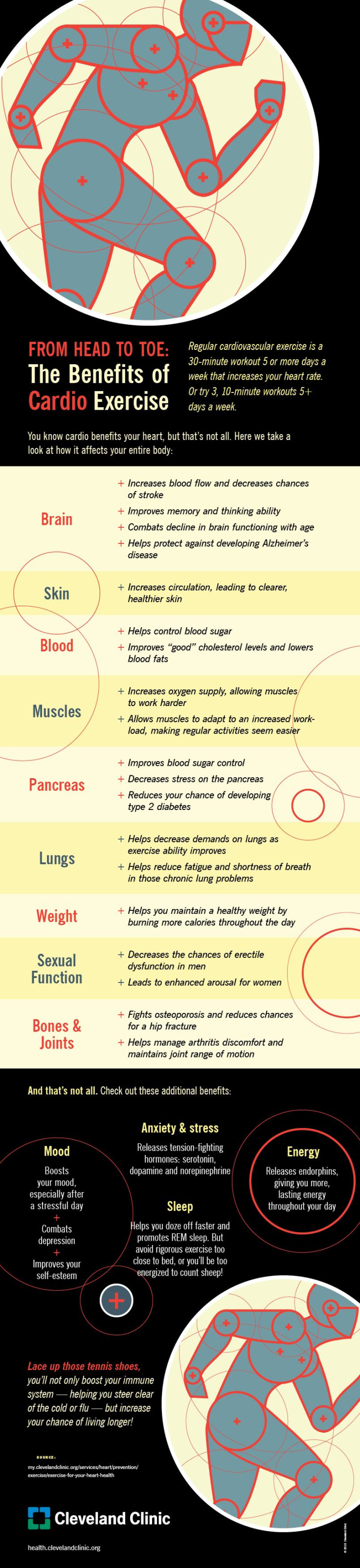 16-HHB-020-cardio-exercise-info