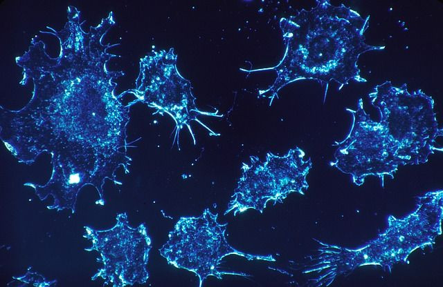 cancer-cells-541954_640