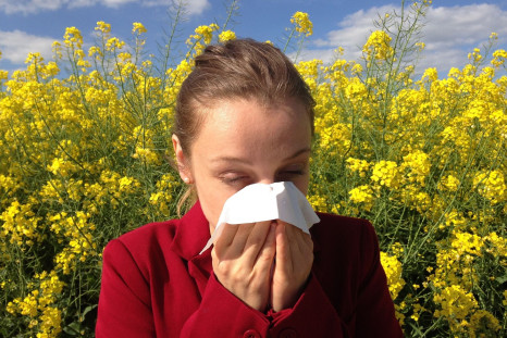 Here are the top 7 products for allergy relief.