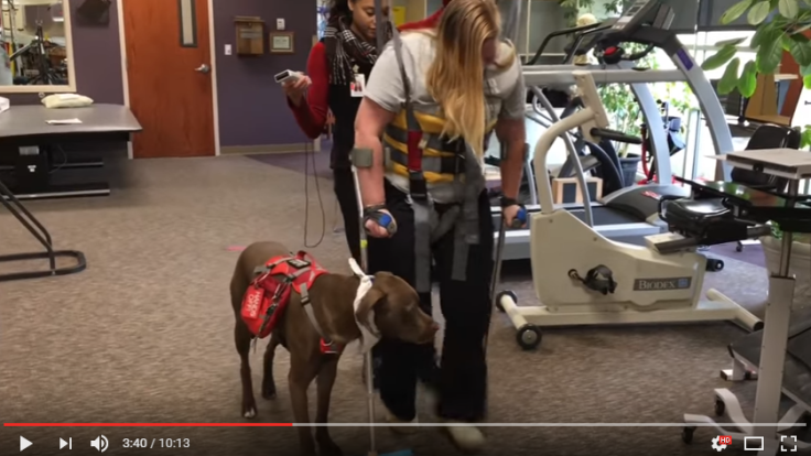 janaye and service dog colt