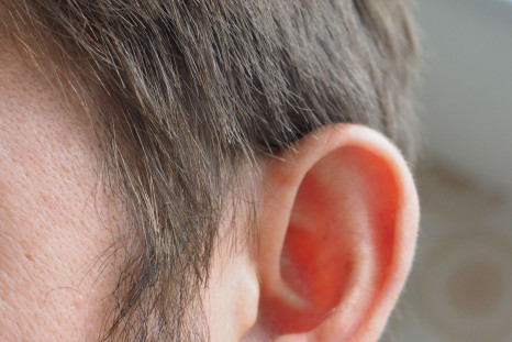 Everyday noises could be harming your ear health.