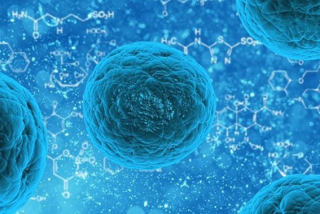 Stem cells are at the forefront of many medical innovations.