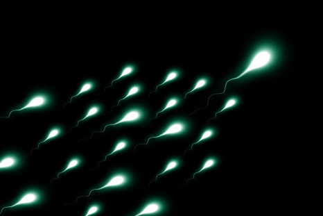 Sperm count in the West may be dropping.