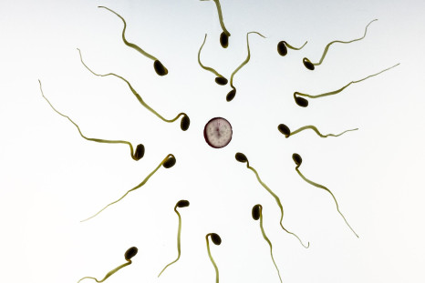 Sperm quantity and quality could be affected by cosmetics.