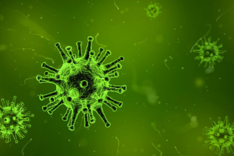 An immune response caused by viral infections may increase cancer risk.