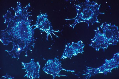 Cancer cells may be completely eradicated with this treatment.